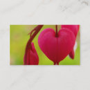 Search for bleeding business cards Pink