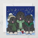 Search for singing dog christmas cards Snow