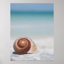 Search for florida seashells posters Waves