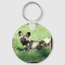 Search for wild dog key rings Exotic
