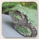 Search for frog coasters Amphibian
