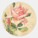 Search for shabby roses stickers Pink