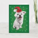 Search for terrier christmas cards Snowflakes