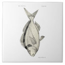 Search for vintage fish tiles Beach