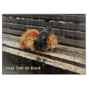 Search for cat chopping boards Kitten