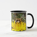 Search for cute meerkats mugs Humour