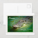 Search for outback postcards Australia