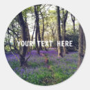 Search for bluebell stickers Floral