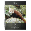 Search for red panda notebooks Asia