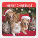 Search for cat and dog stickers Merry christmas