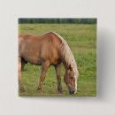 Search for horse badges Brown