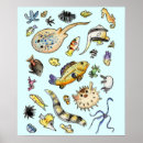 Search for saltwater fish posters Aquarium
