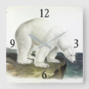 Search for polar bear clocks Illustration