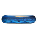 Search for flat skateboards Usa