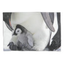 Search for baby animals pillowcases Snow hill island