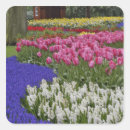 Search for white grape stickers Pink