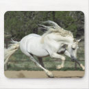 Search for andalusian electronics White