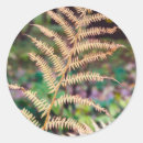 Search for fern leaf stickers Foliage