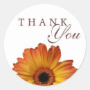 Search for orange gerbera stickers Floral