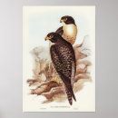 Search for cheeks posters Nature