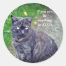 Search for grey tabby cat stickers Animal