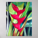 Search for heliconia posters Botanical