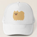 Search for pomeranian accessories Dog