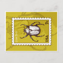 Search for beetles horizontal postcards Entomology
