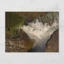 Search for comfortably postcards Photography