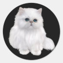 Search for cat breed stickers Feline