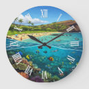 Search for snorkelling art Oahu