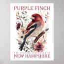 Search for finches posters Vintage