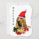 Search for bloodhound christmas cards Xmas