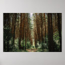 Search for pathway posters Forest