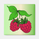 Search for raspberry magnets Fruit