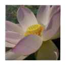Search for lotus flower tiles Nature