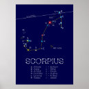 Search for scorpion posters Symbol