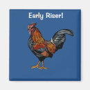 Search for cock magnets Rooster