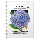 Search for asters notebooks Garden