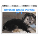 Search for adopted calendars Puppy