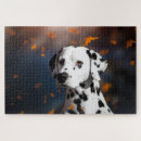 Search for dalmation Pet