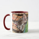 Search for napping mugs Pet