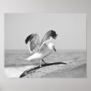 Search for black white ocean posters Home