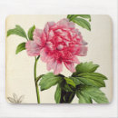 Search for redoute mouse mats Botanical