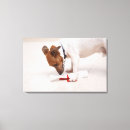 Search for looking down canvas prints Humour