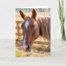 Search for sunlight cards Country