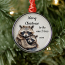 Search for racoon christmas tree decorations Animal