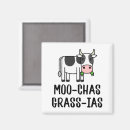 Search for decal magnets Humour