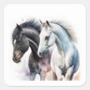 Search for black and white horse stickers Equestrian