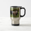 Search for angus cow mugs Cows